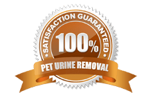 Pet Urine Removal 100%