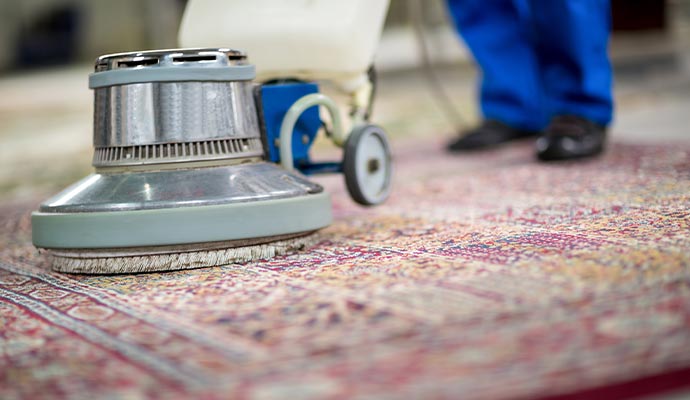 Area rug cleaning with professional equipment