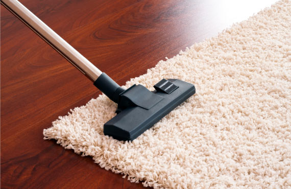 person vacuuming pile rug