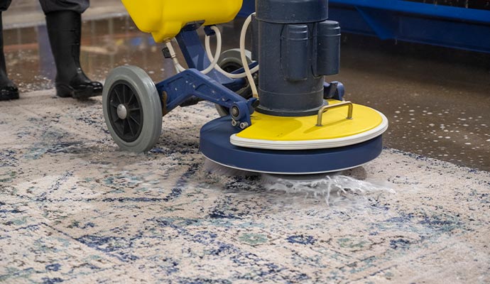 Person cleaning rug with equipment