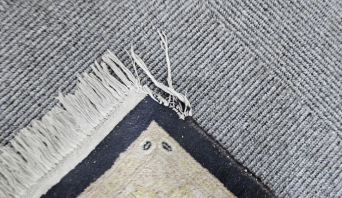 damaged rug on floor