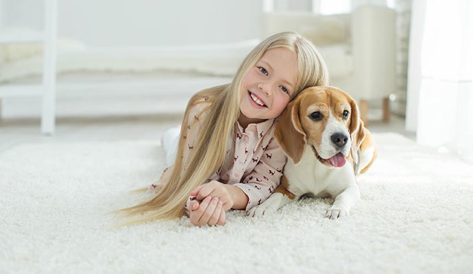 Pet on carpet